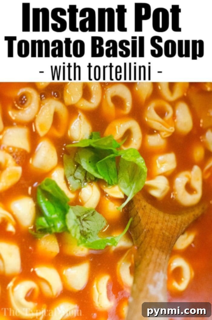 Velvety Tomato Basil Indulgence 4 Instant Pot tomato soup, rich and creamy with tortellini.