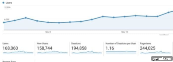 Baseline Blog Page Views in 2016