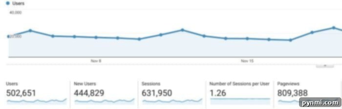 Significant Page View Growth in 2017 from Pinterest