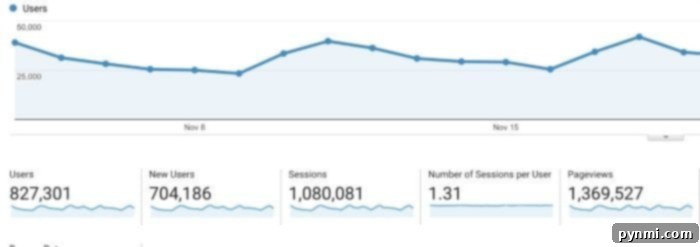 Continued Exponential Page View Increase in 2018