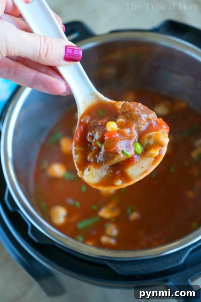 Savory Pot Pie Delight 5 A large pot of Instant Pot beef stew with chunks of meat, potatoes, and carrots. A serving spoon is resting in the pot, ready to scoop out the delicious meal.