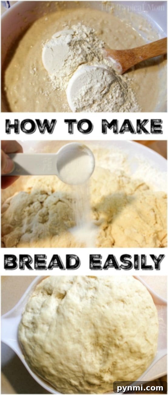 Steps for baking bread at home: Begin by mixing flour, then gently add salt, and finally, let the dough rise beautifully in a bowl, showcasing an easy homemade bread recipe.