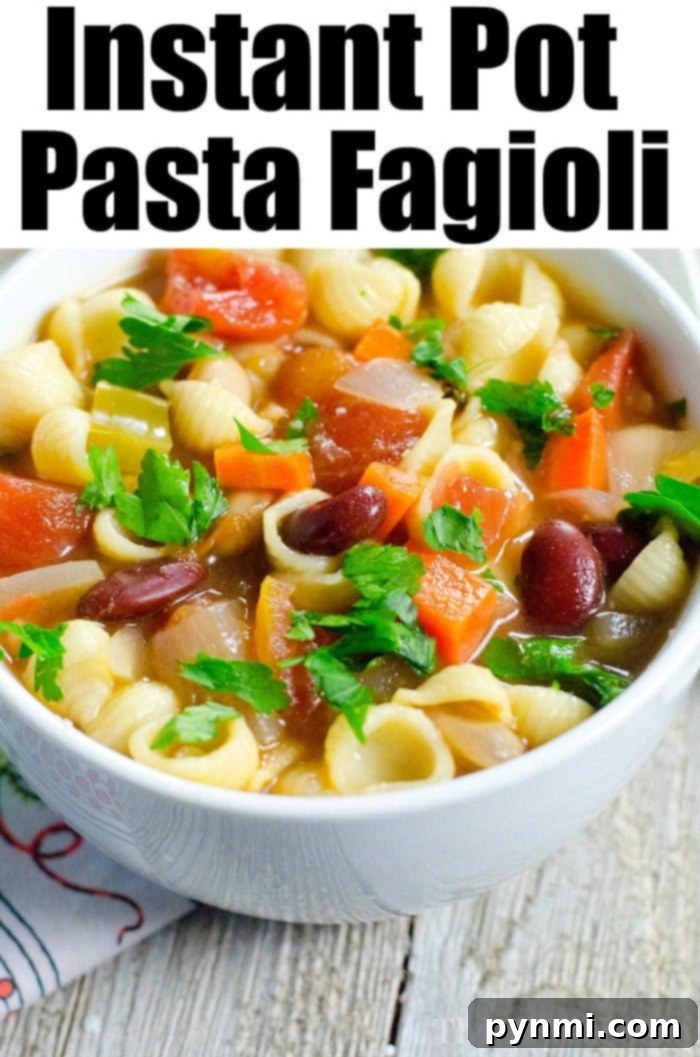 Here are 3 pressure cooker vegetable soup recipes that are easy to prepare with simple ingredients and can be loaded up with more if you like! #instantpot #instantpotrecipes #vegetable #soup #pastaefagioli #pressurecooker #vegetablesoup #healthy #vegetarian A hearty bowl of Instant Pot pasta fagioli, showcasing a rich tomato broth filled with small pasta, a variety of beans, and fresh herbs. The steam rising from the bowl suggests it's a warm, comforting meal perfect for chilly weather.
