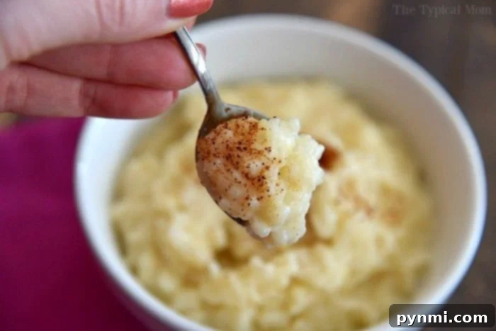 Delicious Instant Pot Rice Pudding – a top-rated pressure cooker dessert recipe. Creamy Instant Pot rice pudding garnished with cinnamon, a sweet pressure cooker dessert