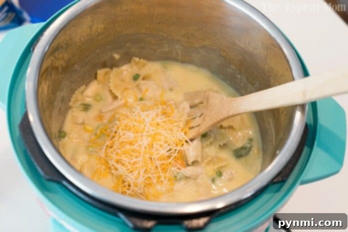 A wider shot of a bowl of Instant Pot chicken noodle casserole, perhaps on a rustic wooden surface, creating a cozy and inviting scene. This image showcases the complete dish in an appetizing context.