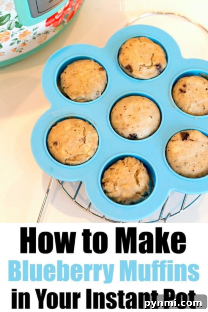 Cloud-Soft Instant Pot Blueberry Muffins 11 Two hands delicately holding a single, freshly baked, fluffy Instant Pot blueberry muffin