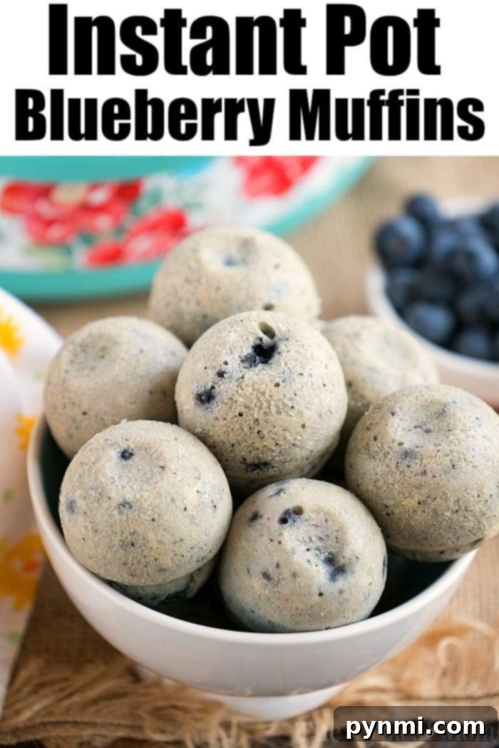 Cloud-Soft Instant Pot Blueberry Muffins 12 A mesmerizing close-up shot of a single Instant Pot blueberry muffin, beautifully displaying its moist interior and plump blueberries