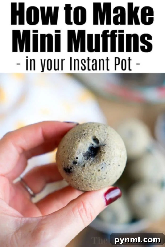 Cloud-Soft Instant Pot Blueberry Muffins 8 A plate of perfectly round, bite-sized Instant Pot blueberry muffins, ready to be served and enjoyed