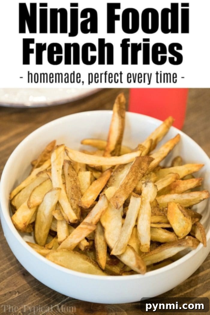 Perfectly Crispy Ninja Foodi Fries 2 A vibrant image of golden-brown homemade French fries, expertly crisped in the Ninja Foodi, served in an elegant bowl on a rustic wooden table.