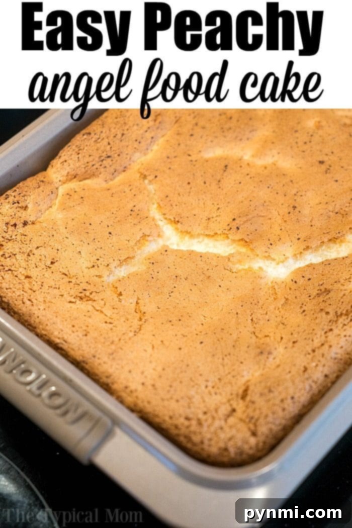Simple Angel Food Cake with Peaches A beautifully textured slice of peach angel food cake on a white plate, highlighting its light, airy crumb and the vibrant canned peach pieces. This close-up emphasizes the simplicity and deliciousness of a 2-ingredient fat-free dessert.