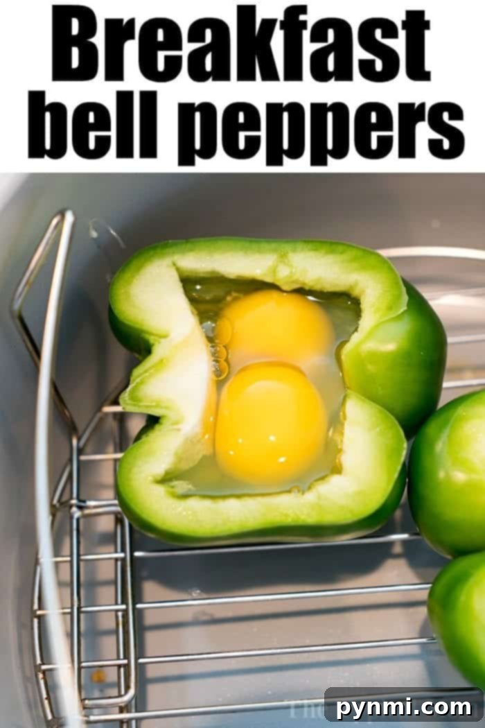 Air fryer breakfast stuffed peppers are the perfect low carb start to the day! A tender bell pepper filled with eggs you can eat on the go & enjoy today. Latest Ninja Foodi recipe we love. #airfryerrecipes #airfryer #breakfast #eggs #peppers #stuffedpeppers #ninjafoodirecipes #ninjafoodi #thetypicalmom Breakfast Stuffed Peppers