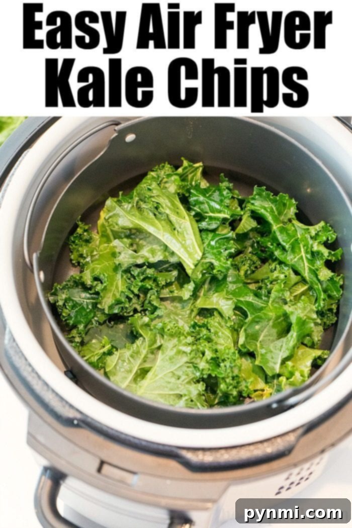 Best Air Fryer Kale Chips Recipe A bowl of crispy Ninja Foodi kale chips with seasoning.