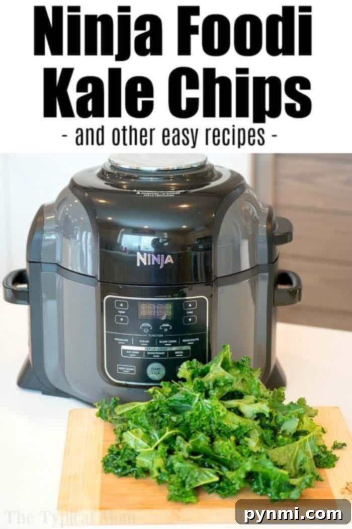 Ninja Foodi Kale Chips: A Quick and Healthy Treat Another view of the crispy kale chips in a bowl, showcasing texture.