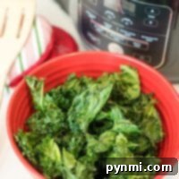 A vibrant red bowl of Ninja Foodi kale chips sits enticingly in front of an air fryer, offering a delicious and healthy treat.