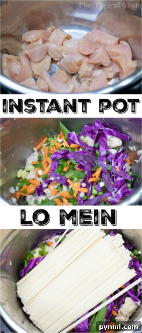 Instant Pot lo mein with chicken is a great dinner for the whole family! Soft flavorful noodles with vegetables all in the same bowl for this one pot meal. #instantpotrecipes #instantpot #lomein #chinese #pressurecooker #ninjafoodi #ninjafoodirecipes easy lo mein recipe prepared in an Instant Pot with chicken and vegetables.