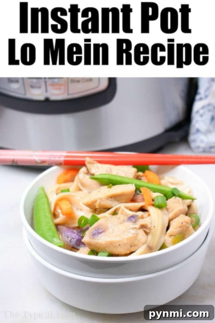 Instant Pot lo mein with chicken is a great dinner for the whole family! Soft flavorful noodles with vegetables all in the same bowl for this one pot meal. #instantpotrecipes #instantpot #lomein #chinese #pressurecooker #ninjafoodi #ninjafoodirecipes Instant Pot Lo Mein, garnished with green onions and ready to serve.
