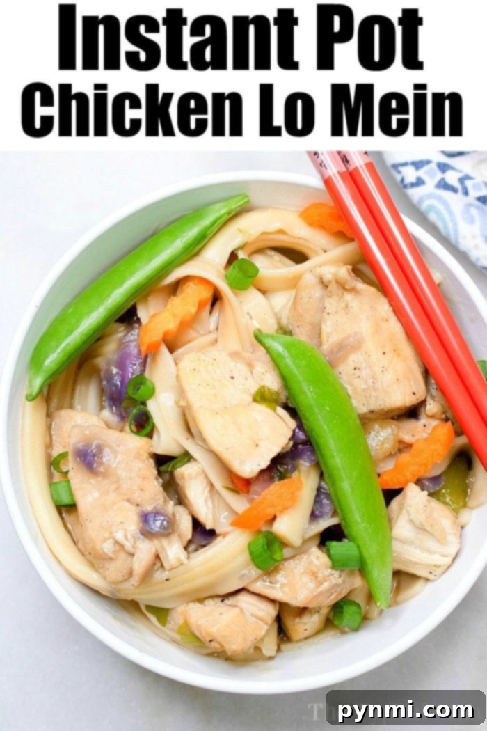 Instant Pot lo mein is a great dinner for the whole family! Soft flavorful noodles with vegetables all in the same bowl for this one pot meal. #instantpotrecipes #instantpot #lomein #chinese #pressurecooker #ninjafoodi #ninjafoodirecipes pressure cooker lo mein, a quick and easy recipe for families.