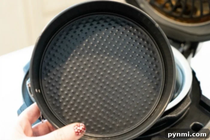 A delicious cake baked in a springform pan, showcasing the baking capabilities of the Ninja Foodi with the right accessories.