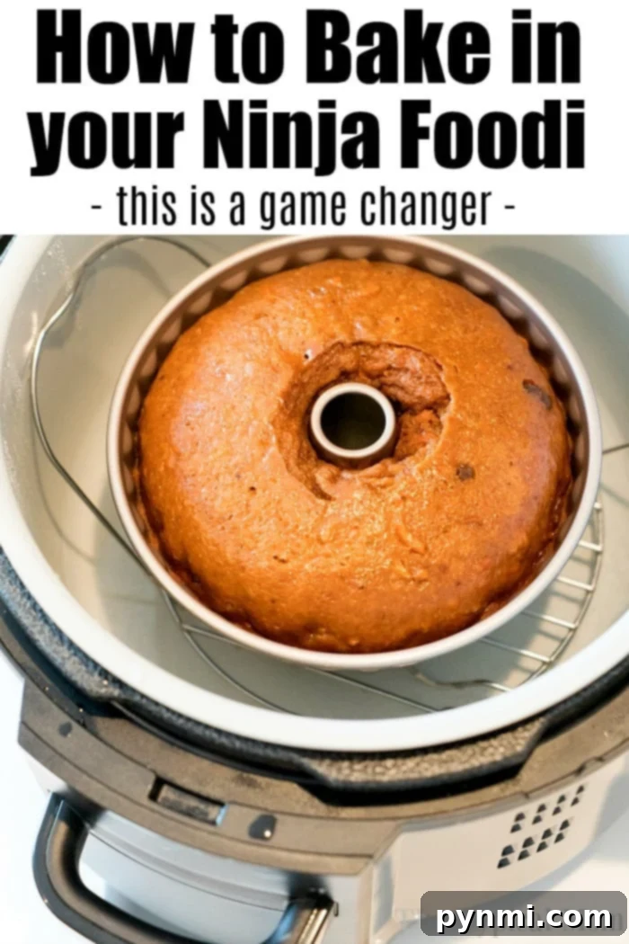 A perfectly baked cake, fresh from the Ninja Foodi, demonstrating the appliance's versatility beyond simple pressure cooking or air frying.