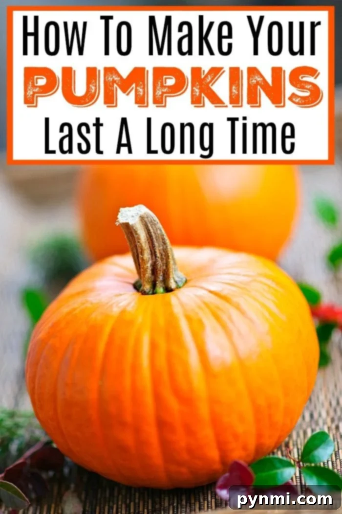 Tips for carving pumpkins and how to preserve your pumpkins so they last a long time using this solution! #carvings #pumpkin #halloween #preservingpumpkins how to preserve pumpkins