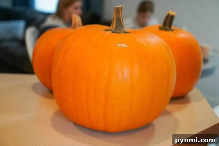 The Secret to Long-Lasting Porch Pumpkins 2 How to Keep Pumpkins from Rotting on Porch