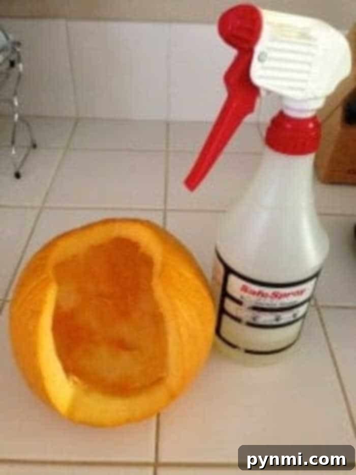 Tips for carving pumpkins and how to preserve your pumpkins so they last a long time using this solution! #carvings #pumpkin #halloween #preservingpumpkins How to Preserve Carved Pumpkins