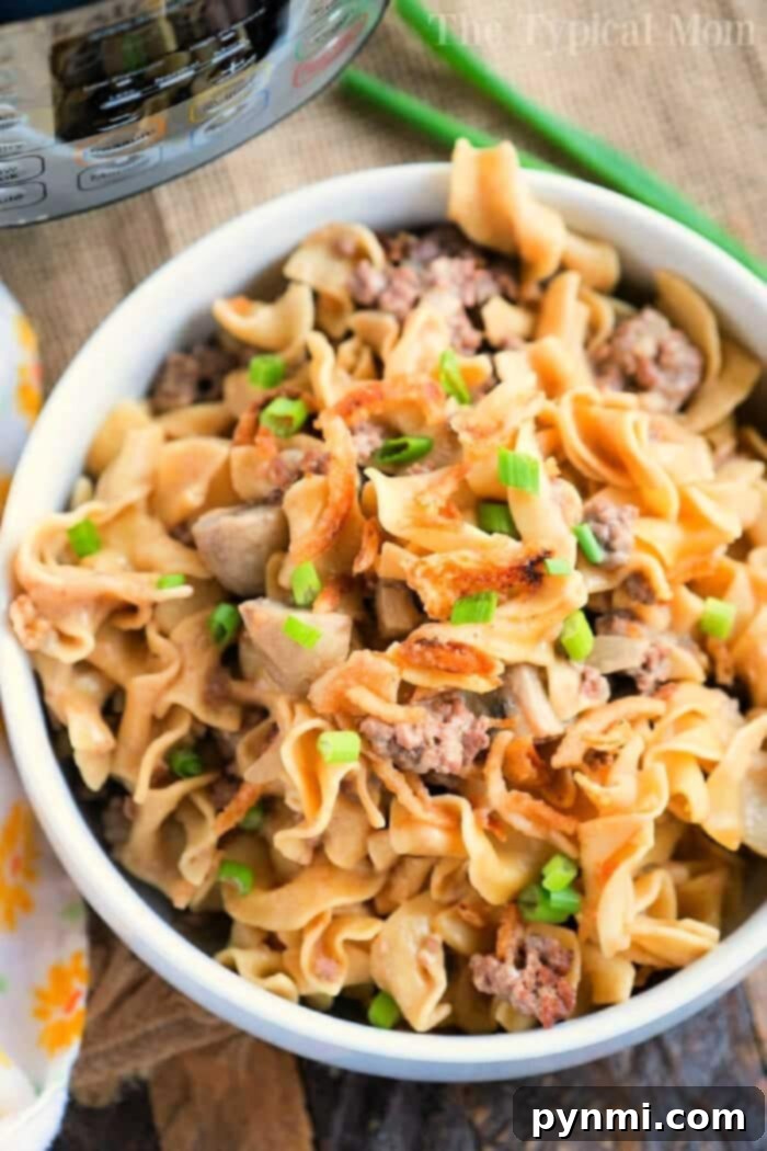 A comforting bowl of Instant Pot Ground Beef Stroganoff, garnished with fresh green onions. This hearty casserole features tender ground beef, creamy sauce, and wide egg noodles, perfect for a quick family dinner.