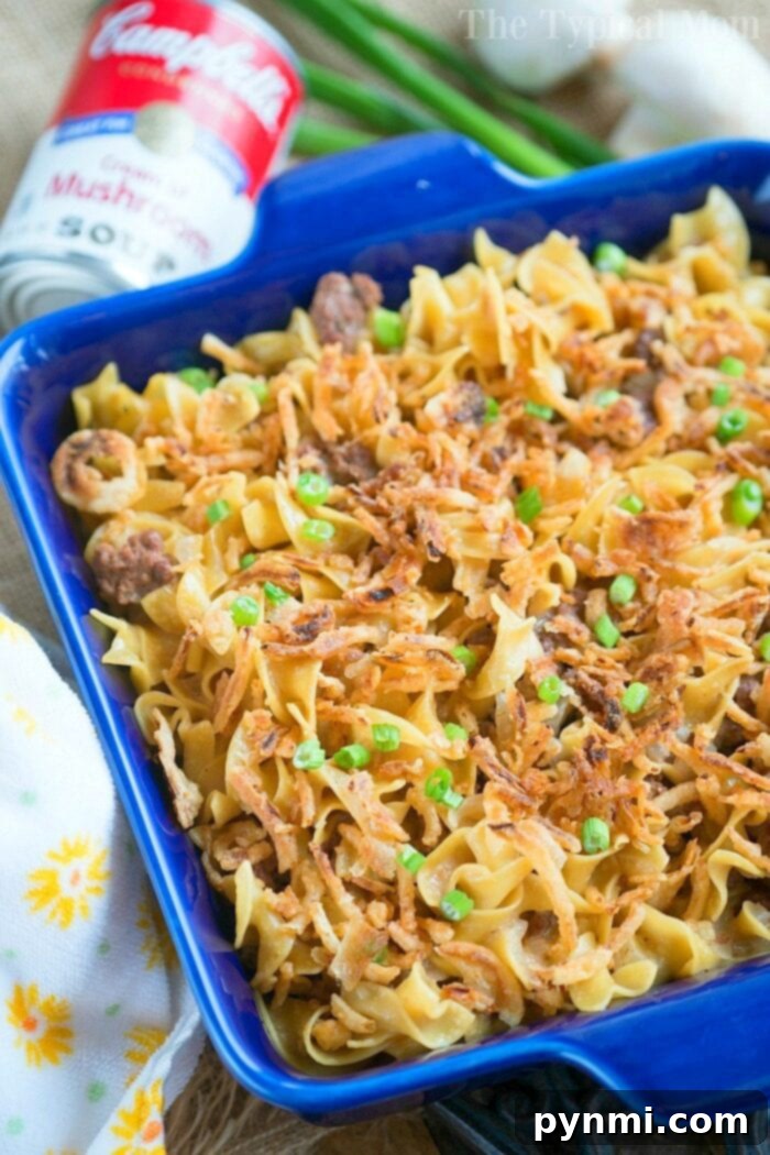 A vibrant, overhead shot of the completed pressure cooker stroganoff casserole, showcasing its hearty ingredients and inviting presentation.