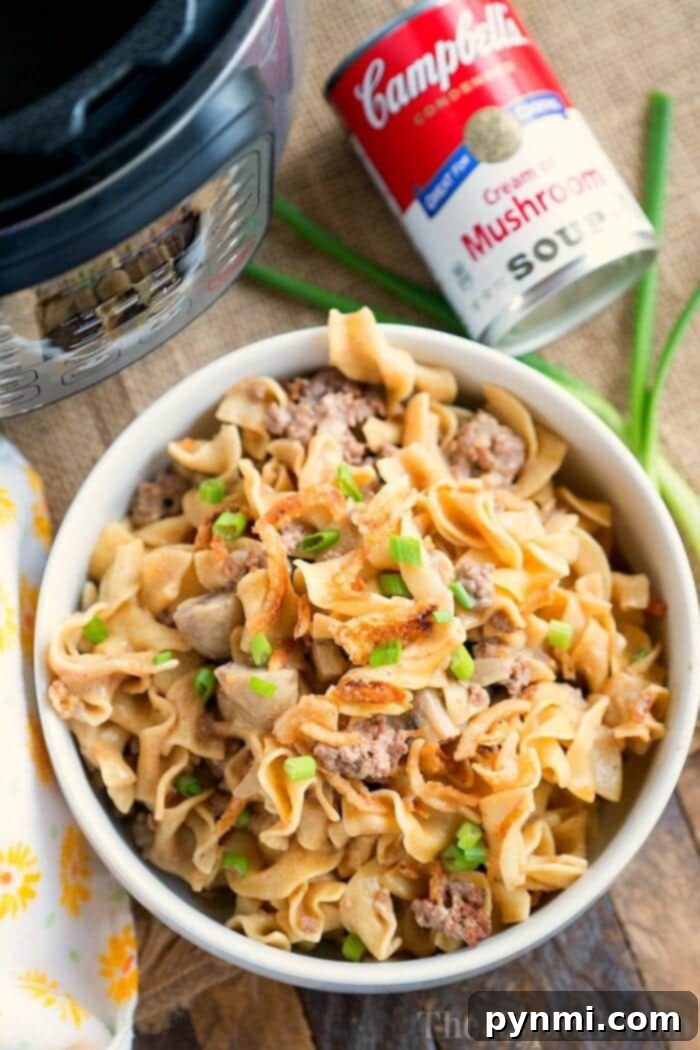A vibrant bowl of Ninja Foodi beef stroganoff, showcasing the creamy sauce, ground beef, and perfectly cooked noodles, ready to be enjoyed.