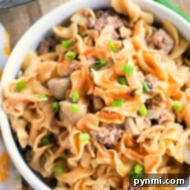 A bowl of Instant Pot Ground Beef Stroganoff with egg noodles, ground beef, and chopped green onions on top.