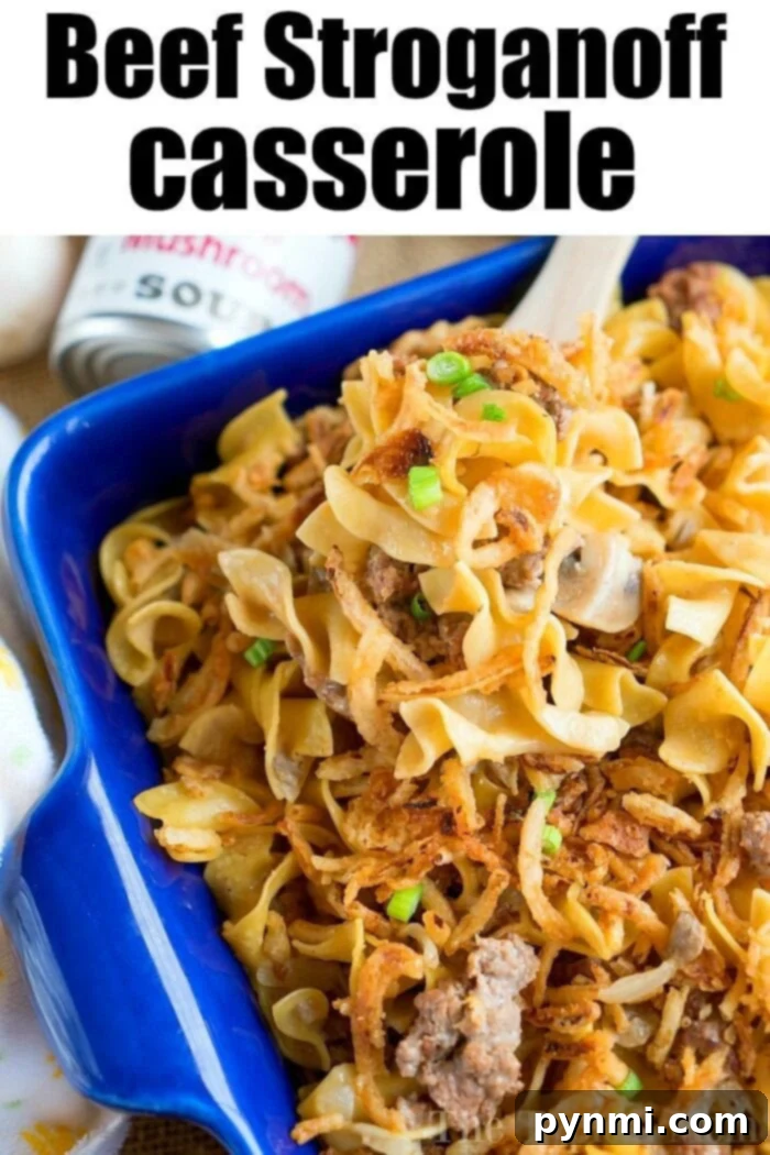 A bowl of Instant Pot Stroganoff, rich with ground beef, mushrooms, and creamy egg noodles, perfect for a quick and satisfying dinner.
