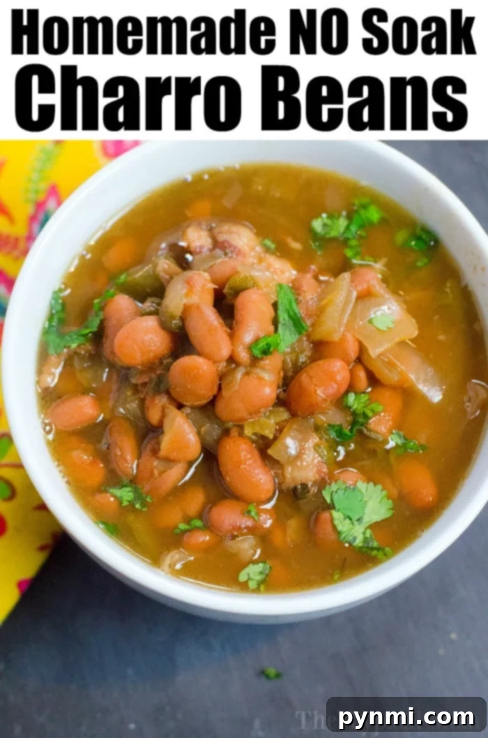Homemade pressure cooker pinto beans make a great side dish for Cinco de Mayo or any time of the year. Use them inside burrito bowls for a fantastic meal! #instantpotrecipes #instantpot #pressurecooker #ninjafoodi #pintobeans #beans #cincodemayo #thetypicalmom #charrobeans Instant Pot Charro Beans
