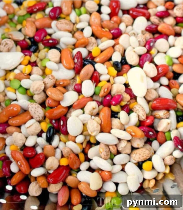 Quick and Tender Pressure Cooker Beans 2 A vibrant assortment of dry beans, ready to be cooked in a pressure cooker for a nutritious meal.