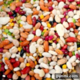 A colorful assortment of various beans and legumes, perfect for cooking in a pressure cooker to enhance their flavors and textures.