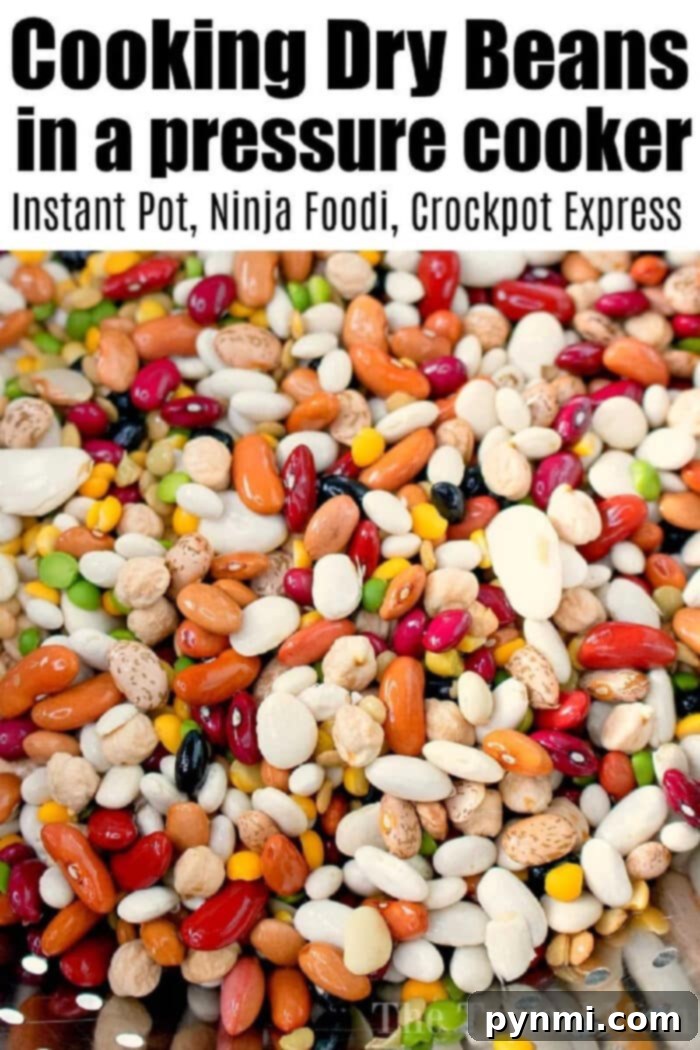 Cooking beans in an Instant Pot has never been easier! There's NO presoaking required for dry beans to become tender to make your favorite recipes. #instantpotbeans #drybeans #instantpot #instantpotrecipes #ninjafoodi #ninjafoodibeans Close-up of a pressure cooker filled with perfectly cooked, tender beans, ready for serving or further recipe preparation.