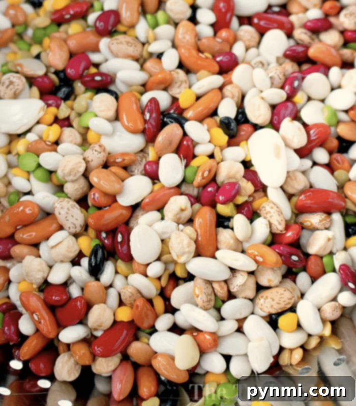 Quick and Tender Pressure Cooker Beans 5 A bowl of freshly cooked dry beans from a pressure cooker, showcasing their tender texture and readiness for any recipe.