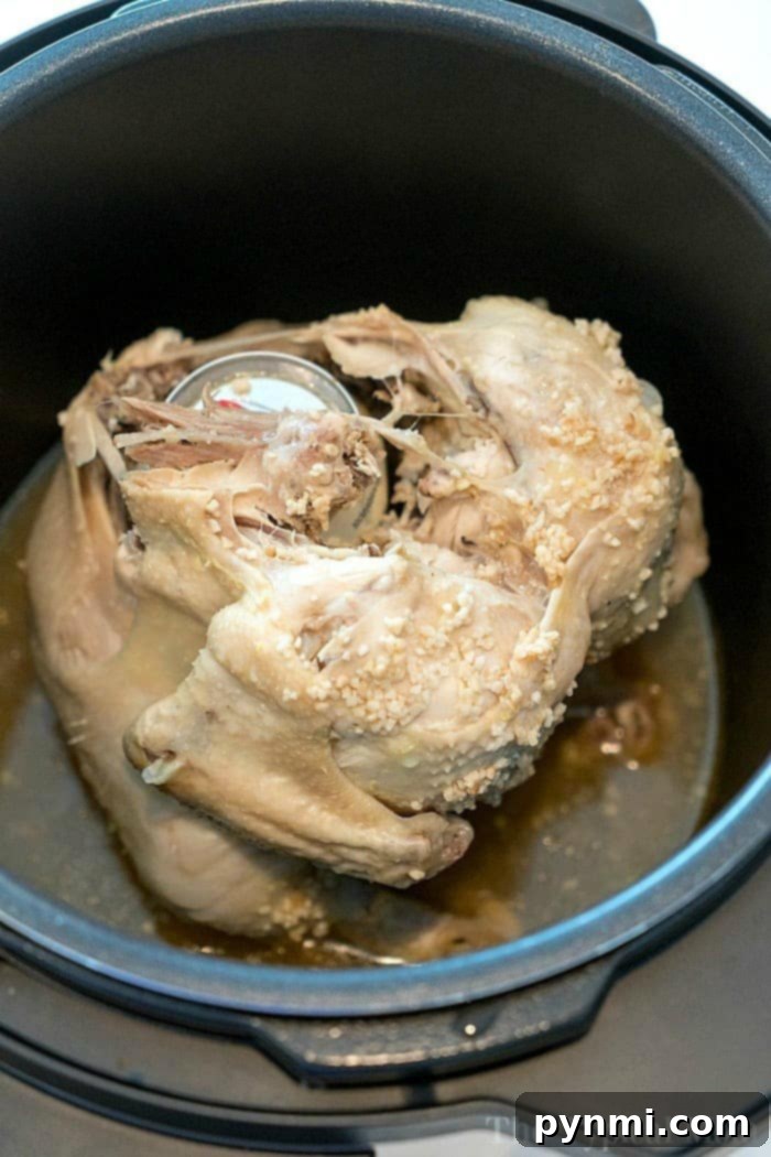 Instant Pot whole chicken recipes, specifically beer can chicken