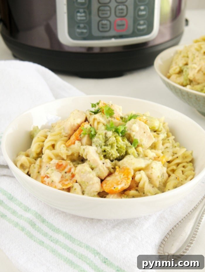 A hearty bowl of pressure cooker chicken and noodles, showcasing thick pasta, chicken, and colorful vegetables in a rich, creamy sauce.