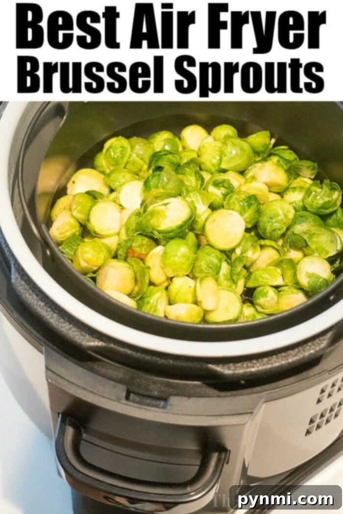 Brussel sprouts in the air fryer are just amazing! Tender brussels with a bit of a crispy outside will get you to love this understated vegetable. #brusselsprouts #brusselssprouts #airfryer #airfryerbrusselsprouts #lemon #healthy #thetypicalmom A serving of perfectly crisp air fryer Brussels sprouts, ready to be enjoyed.