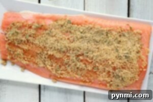 Air Fryer Salmon: Your Easiest Dinner Yet 4 Raw salmon fillet with dry rub, ready for air frying.