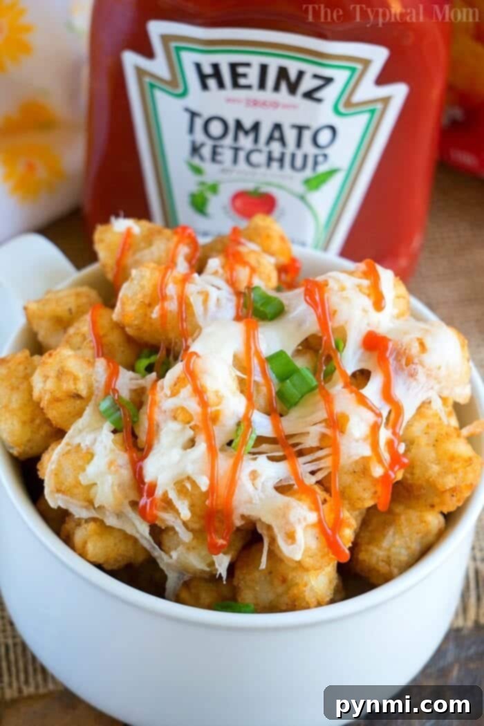 Air Fryer Tater Tots in a bowl with cheese and ketchup