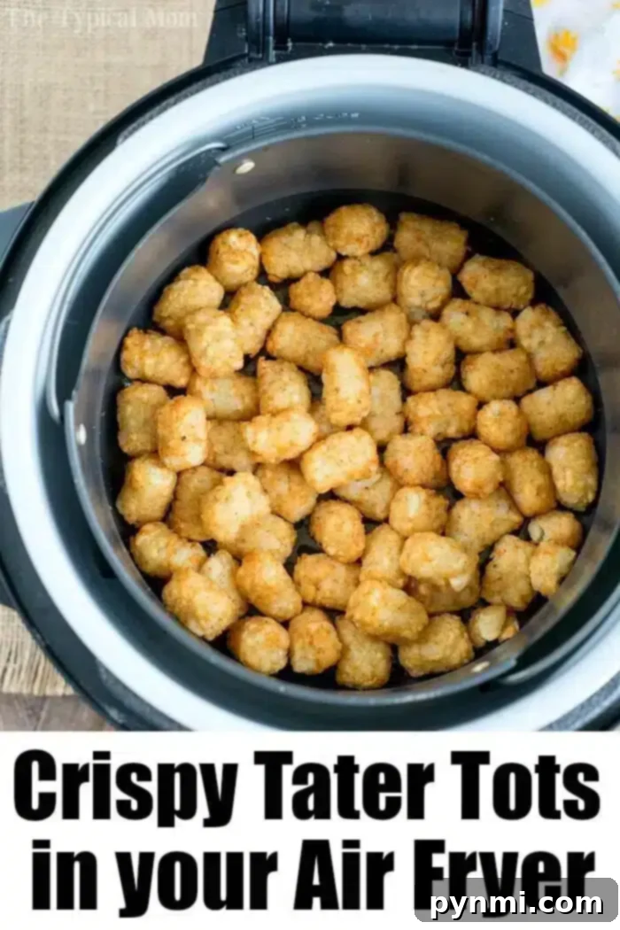 Ninja Foodi Air Fryer Tater Tots in a basket
