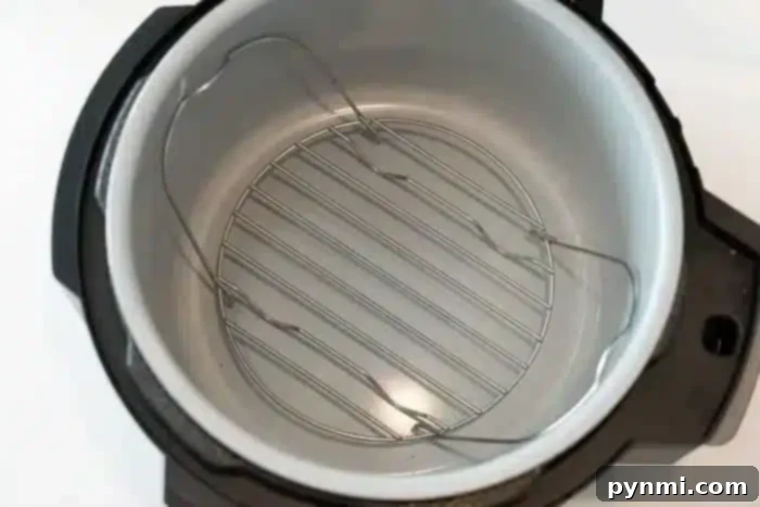 The image shows the interior of an empty electric pressure cooker, ready to prepare delicious meals like an air fryer whole chicken. The metal insert and cooking rack are visible, and the pot is clean with a stainless steel inner surface and a black exterior casing.