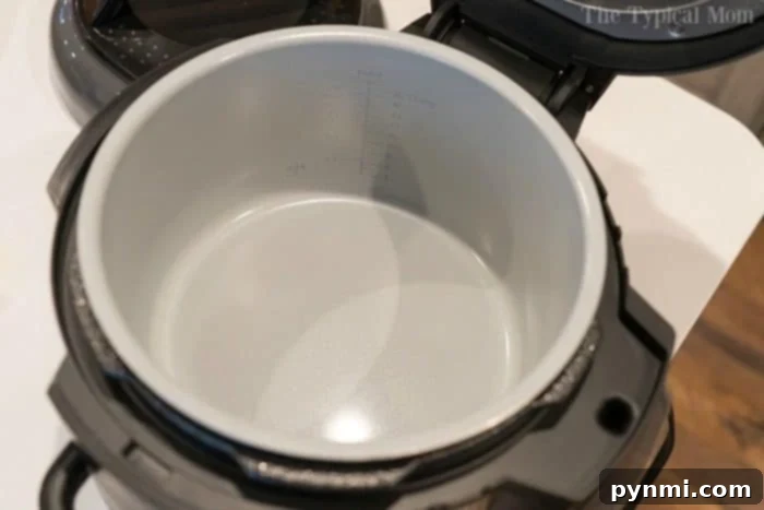 Ninja Foodi Multi-Cooker: Spacious Non-Stick Pot for Easy Cooking and Cleaning Ninja Foodi multi cooker highlighting its spacious non-stick pot