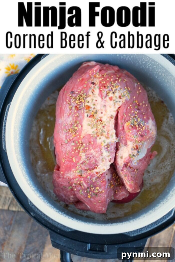 Ninja Foodi corned beef and cabbage is perfect for St Patricks Day or year round. Tender corned beef brisket in a little over an hour is here! #ninjafoodirecipes #ninjafoodi #cornedbeefandcabbage #brisket #cornedbeef #thetypicalmom Ready to cook our seasoned corned beef and cabbage in a ninja foodi using the pressure cooker lid.