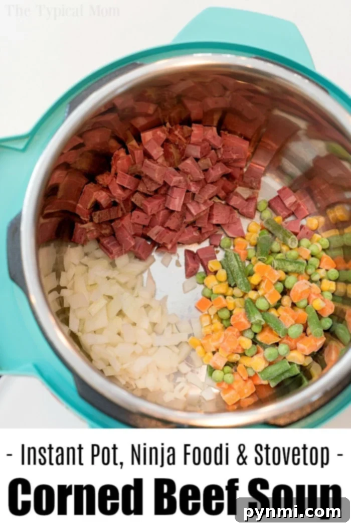 Corned Beef Soup