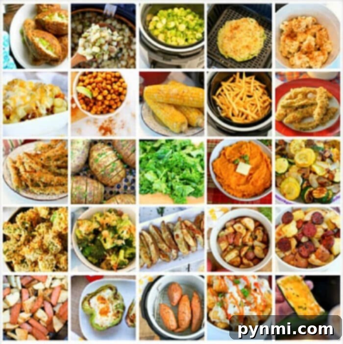 A vibrant collage of Ninja air fryer recipes showcasing delicious dishes like crispy vegetables, tender meats, and savory snacks, all beautifully presented.