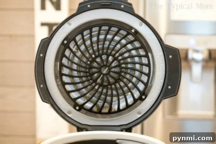 Ninja Air Fryer showing crispy snacks