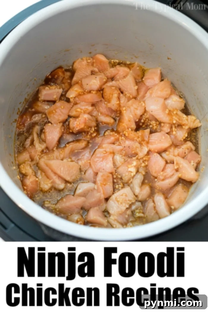 Another appealing angle of Ninja Foodi chicken with cashews, showcasing the tender texture and rich sauce.