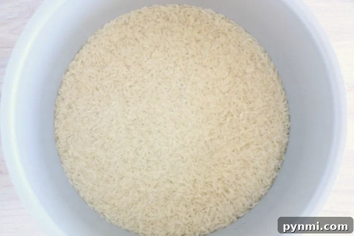 Perfectly Fluffy Ninja Foodi Rice 3 pressure cooker rice